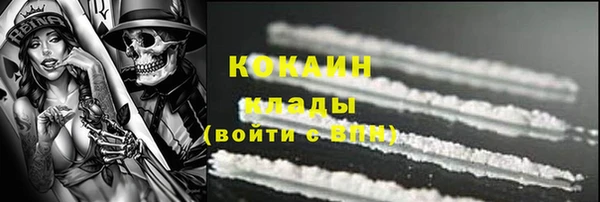 шишки Абаза