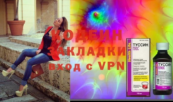 шишки Абаза