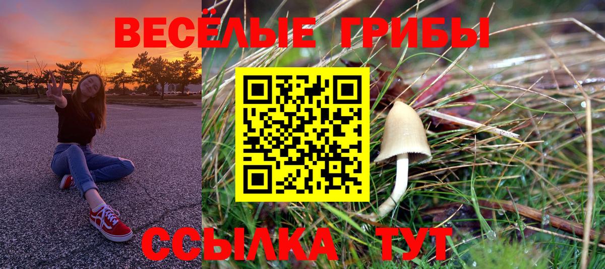 Азнакаево  Псилоцибиновые грибы ЛСД  Вход с VPN 